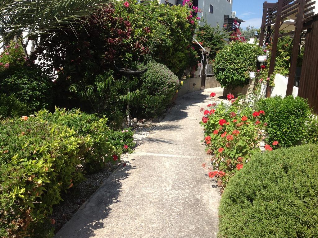 Paphos Townhouse Villa ภายนอก รูปภาพ